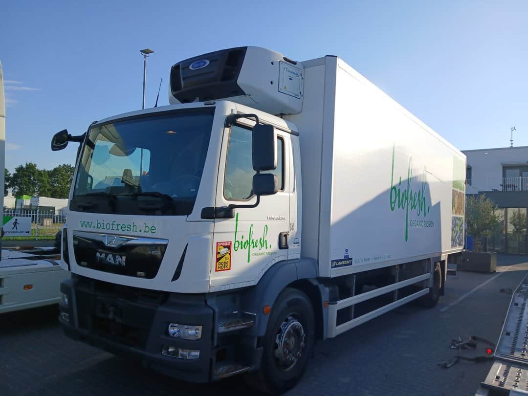 MAN TGM 18.290 Refrigerated Truck Cruise Control Taillift