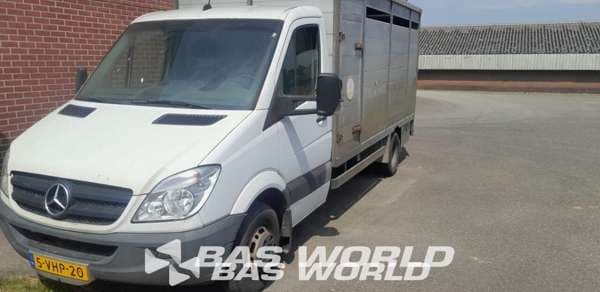 Mercedes Sprinter 519 CDI Euro 5 Automatic Horse Van Tailgate 2010